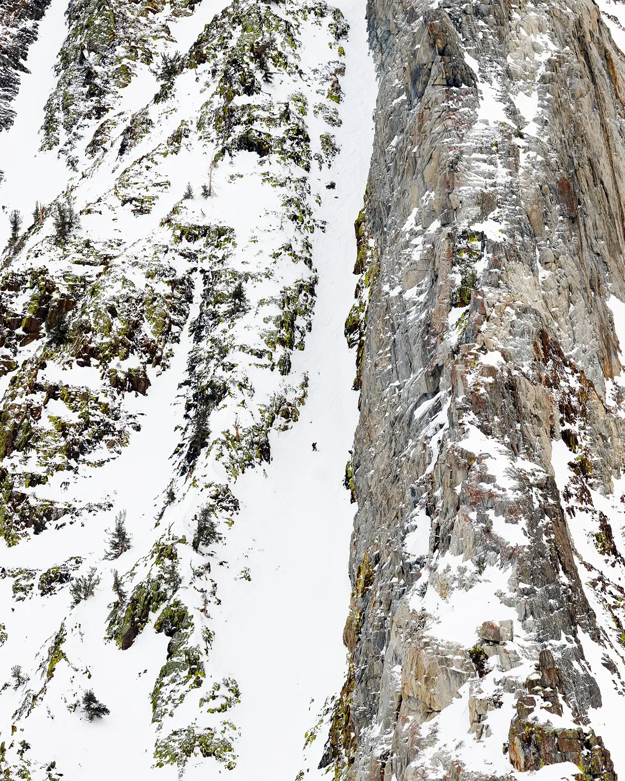 Men's Ultralight Solution Splitboard - Image 4