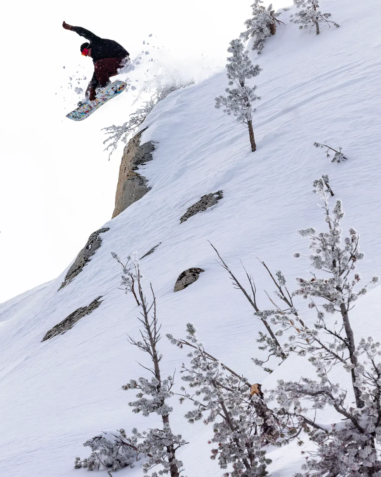 Mind Expander Twin Snowboard - Image 4