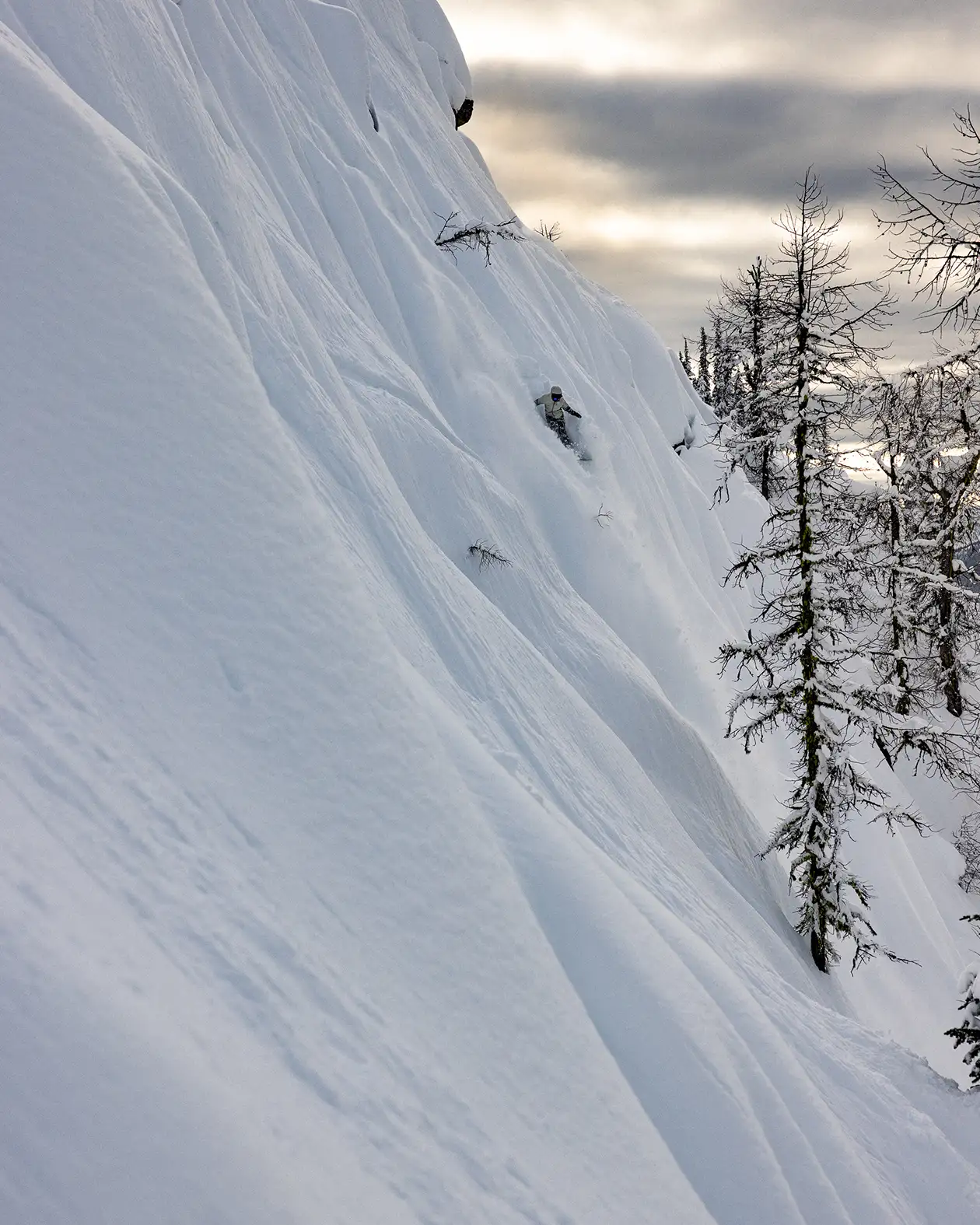 Women's Dream Weaver 2.0 Snowboard - Image 2